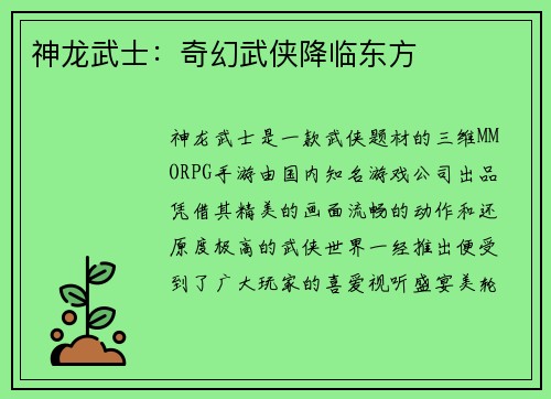 神龙武士：奇幻武侠降临东方